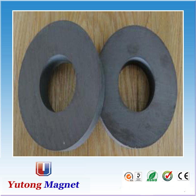 Ring ferrite magnet